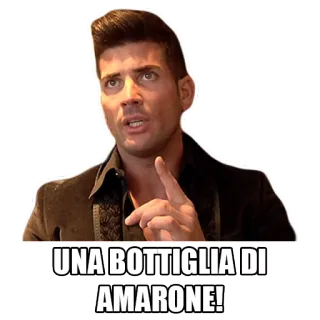 🍷 UNA BOTTIGLIA DI AMARONE! вино, бутылка, алкоголь, итальянский, мужчина whatsapp sticker