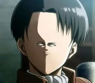 😂 Levi Ackerman Attack on Titan Anime, Manga, Charakter, Lustig, Meme, Parodie telegram sticker
