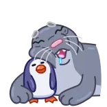 😴 phoque, pingouin, dessin animé, mignon, dormir, animal, amical, joyeux telegram sticker