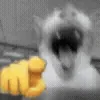 silly cats ➜ @emoji1 telegram emojis 🤣