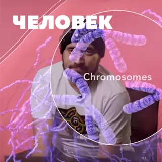 🦑 ЧЕЛОВЕК, Chromosomes umano, cromosomi, scienza, biologia, geni telegram sticker