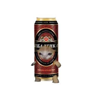❤️ beer, cat, alcohol, drink, can, meme telegram sticker