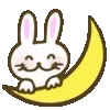 🐰