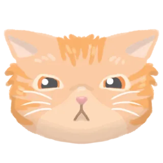 😡 gatto, animale, adesivo, carino, gattino, animale domestico, arancione, micetto telegram sticker