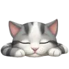 🐈