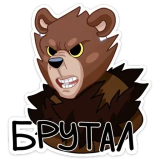 😤 Брутал Bär, Cartoon, Wütend, Brutal telegram sticker