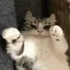 🤗