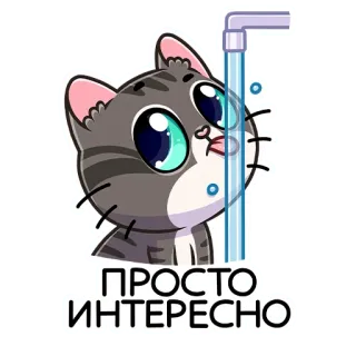 🙃 ПРОСТО ИНТЕРЕСНО kucing, anak kucing, lucu, air, penasaran, ilustrasi, stiker whatsapp sticker