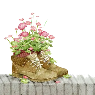 👞 zapatos, flores, plantas, botas, flores rosas, naturaleza muerta telegram sticker