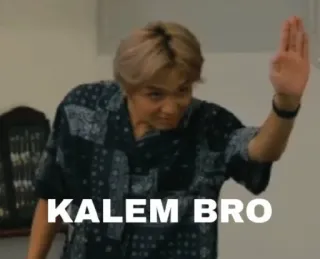 🙂 KALEM BRO stylo, frère, détente, mec, indonésien telegram sticker