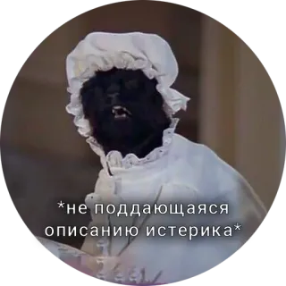 😖 *не поддающаяся описанию истерика* telegram sticker