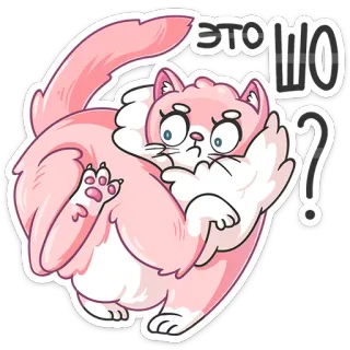 😳 ЭТО ШО? cat, sticker, pink, funny, cartoon, animal, russian, question telegram sticker