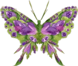 🎀 vlinder, bloemen, paars, natuur, insecten telegram sticker