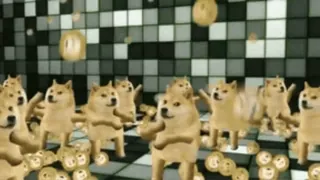 😂 doge, 밈, 댄스, 개, 파티, 재미 telegram sticker