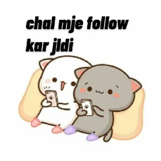 😁 chal mje follow kar jldi lindo, gatos, redes sociales, seguir, gato melocotón, gato gris whatsapp sticker