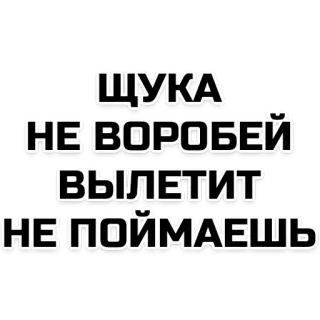 🤓 ЩУКА НЕ ВОРОБЕЙ ВЫЛЕТИТ НЕ ПОЙМАЕШЬ russisch, text, zitat, spruch telegram sticker