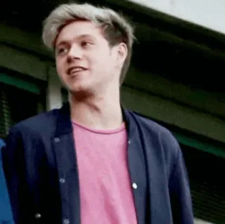 ✨ Niall Horan ไนออล ฮอแรน, วันไดเร็กชัน, นักร้อง, คนดัง, ดนตรี, เพลงป็อป telegram sticker