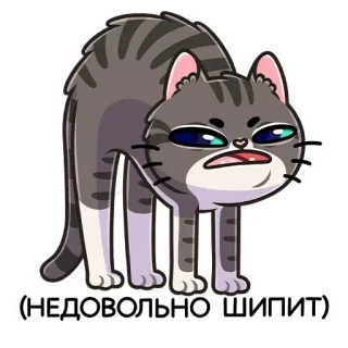 😡 (НЕДОВОЛЬНО ШИПИТ) chat, hiss, en colère, russe, chat gris whatsapp sticker