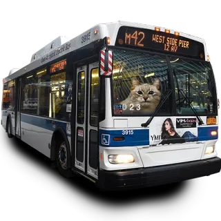 🚌 M42 WEST SIDE PIER bus, public transportation, cat, city bus, transit, urban, M42, West Side Pier telegram sticker