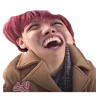 😂 스웩 밈, 한국, 웃긴, 유명인, 사람 whatsapp sticker
