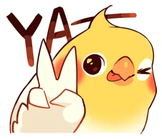 👍 YA chim, vẹt mào, biểu tượng hòa bình, động vật, dễ thương, hoạt hình telegram sticker