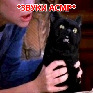 😙 *ЗВУКИ ASMR* ASMR, 猫, 黒猫, 音 telegram sticker