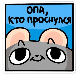 ☺️ ОПА, КТО проснулся souris, mignon, dessin animé, animal, endormi, réveil, salutation telegram sticker