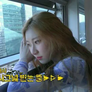 😕 다시 시그널 받는 둥>>>>>> telegram sticker