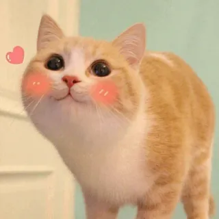 ⚡️ gato, lindo, animal, mascota, kawaii, animal doméstico, alegre telegram sticker