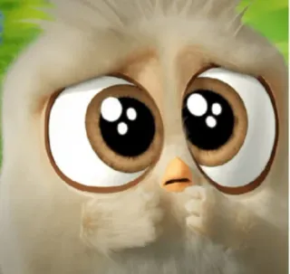 🙏 schattig, vogel, kuiken, cartoon, anime whatsapp sticker