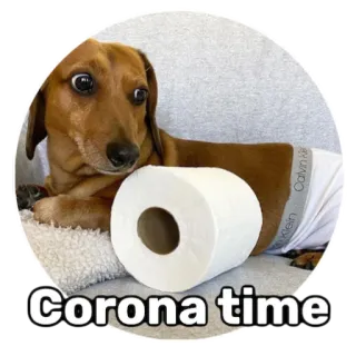 😷 Corona time dog, toilet paper, corona, pandemic, meme whatsapp sticker