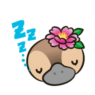😴 platipus, binatang, bunga, lucu, kartun telegram sticker
