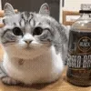 🍺
