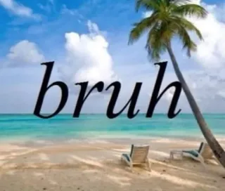 🌟 bruh bruh, spiaggia, oceano, palma, estate, relax telegram sticker