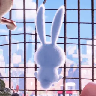 ☁️ Snowball The Secret Life of Pets coniglio, animaletto, animale domestico, animale, bianco, carino, cartone animato whatsapp sticker