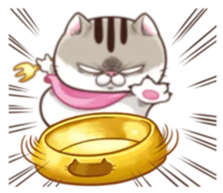 😽 cat, animal, cute, pet, food telegram sticker