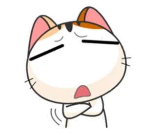 😩 猫, 漫画, 悲しい, 表情, 混乱, 不機嫌 telegram sticker