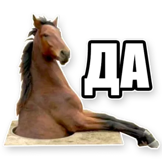 Кони telegram stickers