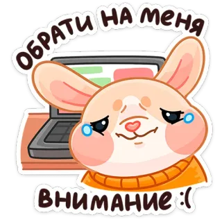 🥲 ОБРАТИ НА МЕНЯ ВНИМАНИЕ :( 토끼, 주의, 노트북, 귀여운, 슬픈 telegram sticker