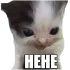 cats ➜ @emoji1 telegram emojis 😈