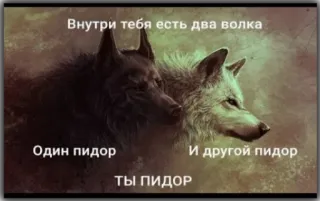 😮 Внутри тебя есть два волка Один пидор И другой пидор ТЫ ПИДОР Wolf, Tiere, Beleidigung telegram sticker