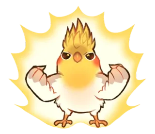 😡 oiseau, cockatiel, muscles, fort, dessin animé, animal, mignon, jaune whatsapp sticker