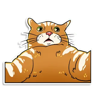 😺 cat, orange tabby, cartoon, animal, pet, sticker whatsapp sticker