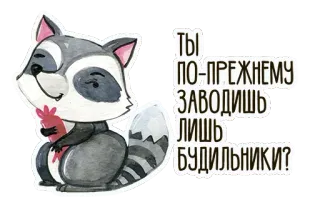 ❤ Ты по-прежнему заводишь лишь будильники? raton laveur, réveil, animal, dessin animé, autocollant, texte, russe whatsapp sticker