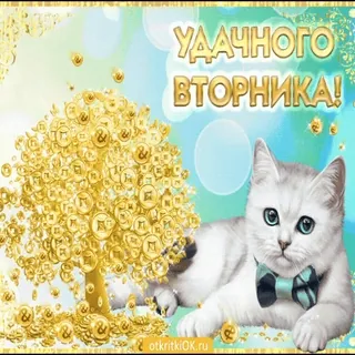 2️⃣ УДАЧНОГО ВТОРНИКА! whatsapp sticker