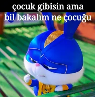 🤭 çocuk gibisin ama bil bakalım ne çocuğu 토끼, 동물, 밈, 웃긴, 재미있는 whatsapp sticker