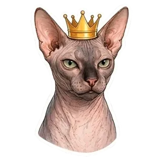 👑 Sphynx cat telegram sticker