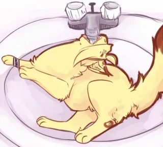 💦 cat, sink, drinking, water, faucet, cute, animal telegram sticker