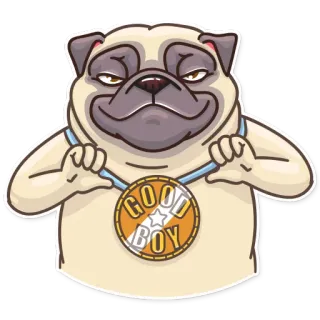 🤩 GOOD BOY cachorro, pug, bom menino, medalha, animal de estimação, desenho animado telegram sticker