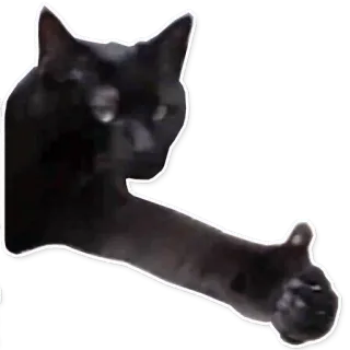 👍 kat, zwarte kat, duim omhoog, dier, meme telegram sticker